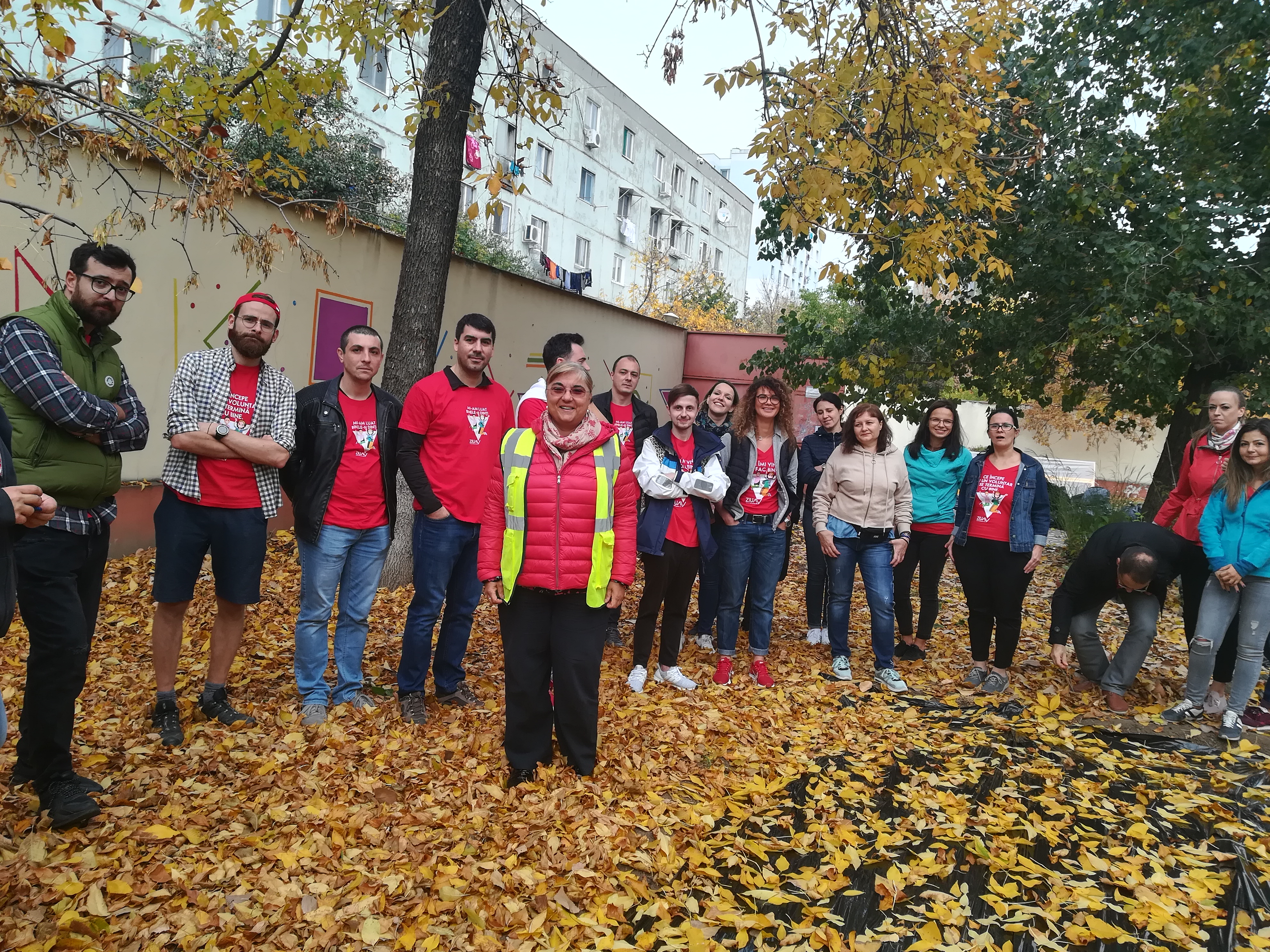 Comunitate în acțiune
